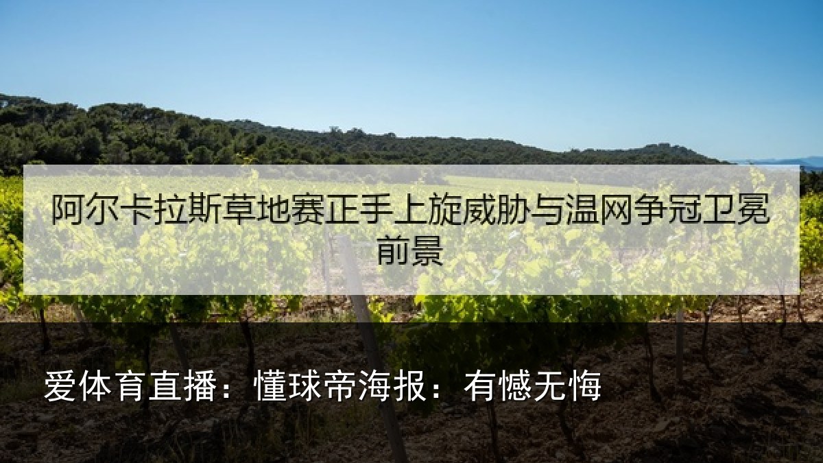 爱体育直播：懂球帝海报：有憾无悔